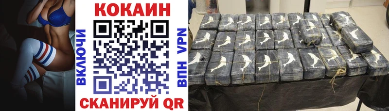 Cocaine FishScale  закладка  Северодвинск 