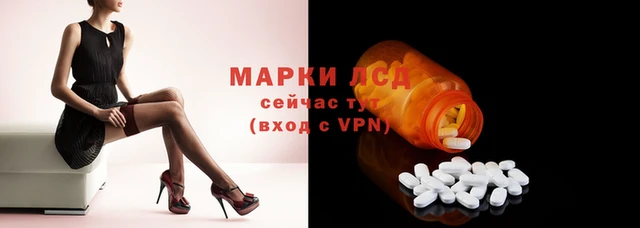 мдпв Верея