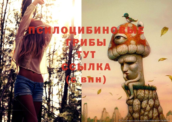 бошки Володарск