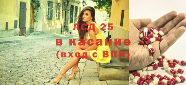 мдпв Верея