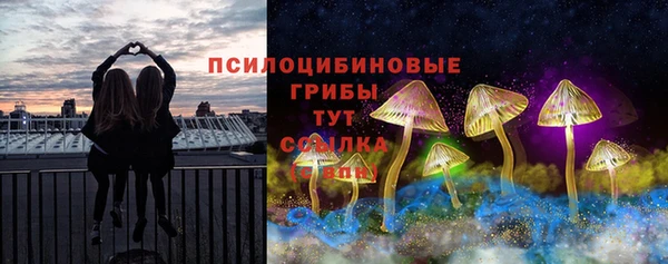 бошки Володарск