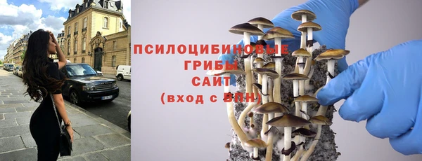 ГАЛЛЮЦИНОГЕННЫЕ ГРИБЫ Волоколамск