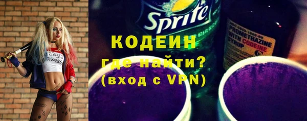 мдпв Верея