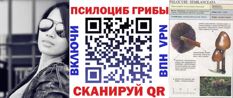 кракен рабочий сайт  продажа наркотиков  Северодвинск  Псилоцибиновые грибы MAGIC MUSHROOMS 
